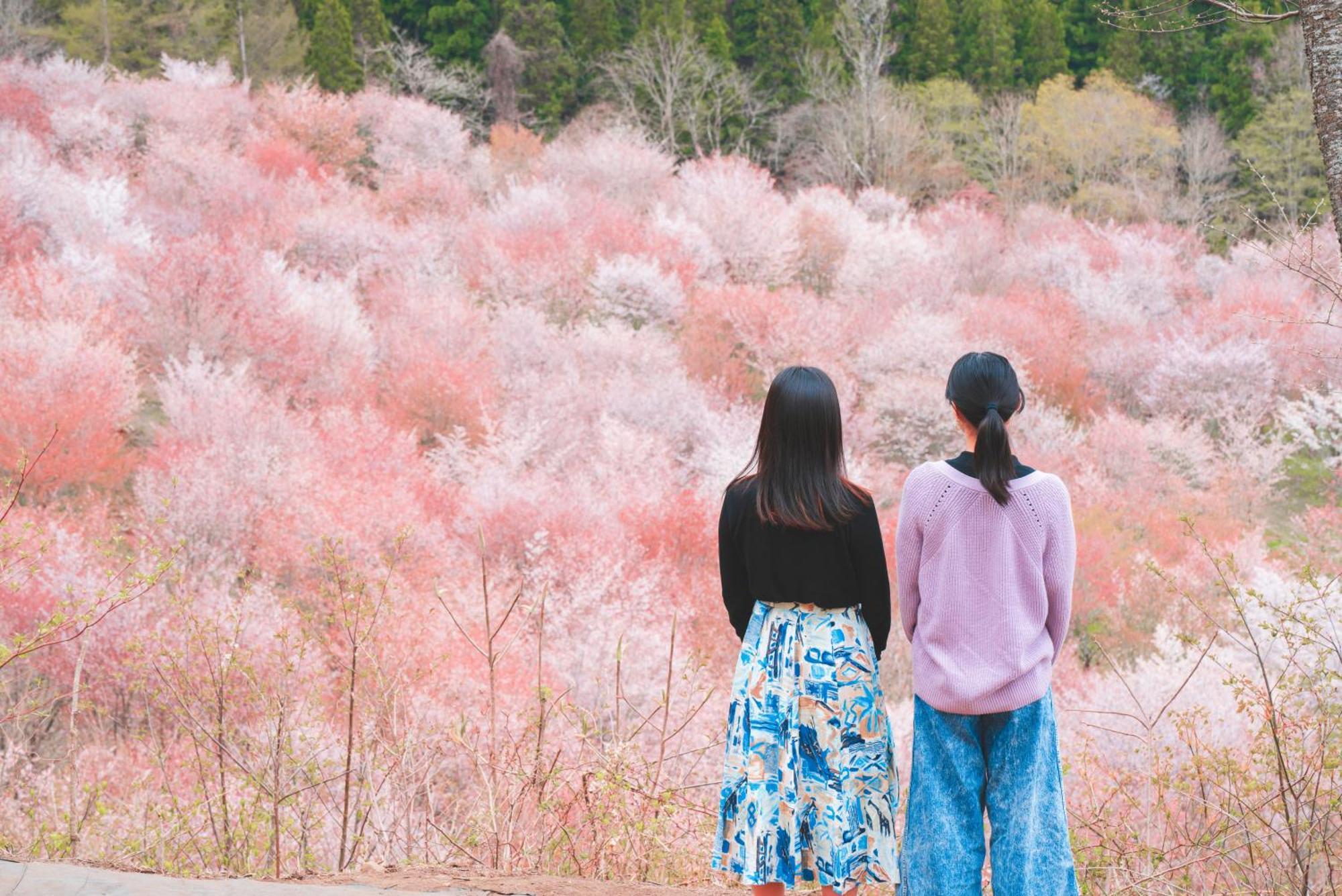 Urabandai Lake Resort Geihinkan Nekoma Rikyu Kitashiobara Ngoại thất bức ảnh