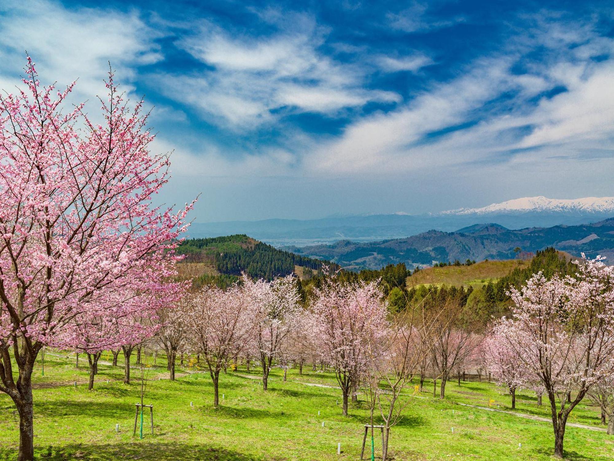Urabandai Lake Resort Geihinkan Nekoma Rikyu Kitashiobara Ngoại thất bức ảnh