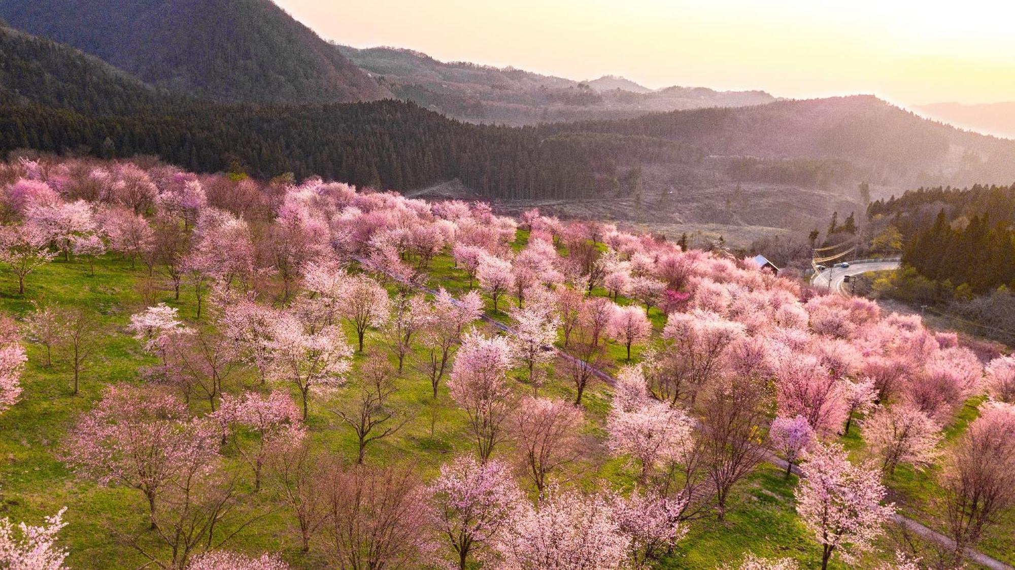Urabandai Lake Resort Geihinkan Nekoma Rikyu Kitashiobara Ngoại thất bức ảnh